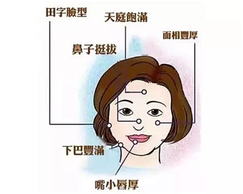 女人面相面相學